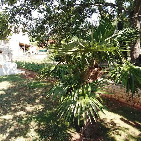 בית נופש Casa Bonita